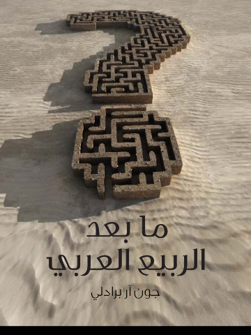 ما بعد الربيع العربي: كيف اختطف الإسلاميون ثورات الشرق الأوسط