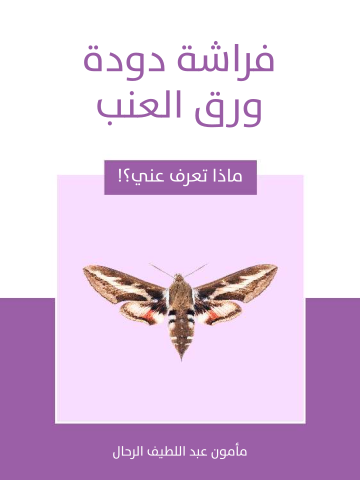 فراشة دودة ورق العنب