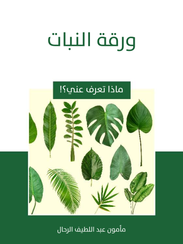 ورقة النبات