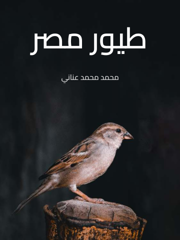 طيور مصر